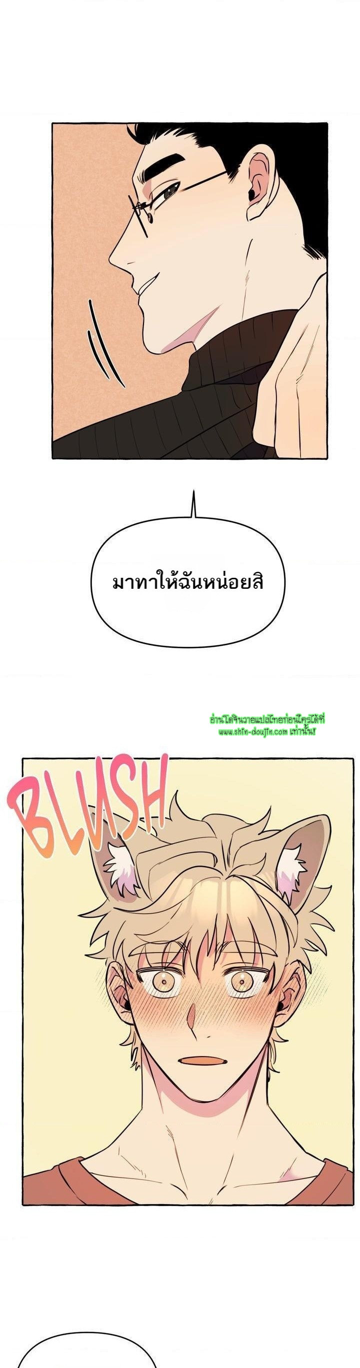 Samsam-ine House EP 12